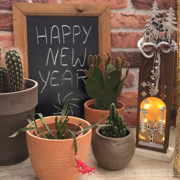 Happy New Year 2019! Foto und Setup: Petra A. Bauer 2109.