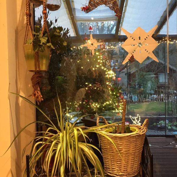Pflanzen am Küchenfenster. Foto: Petra A. Bauer 2018.